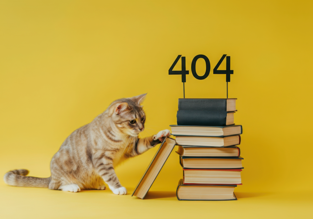 Authors can Avoid 404 Pages with author website Hosting & Maintenance
